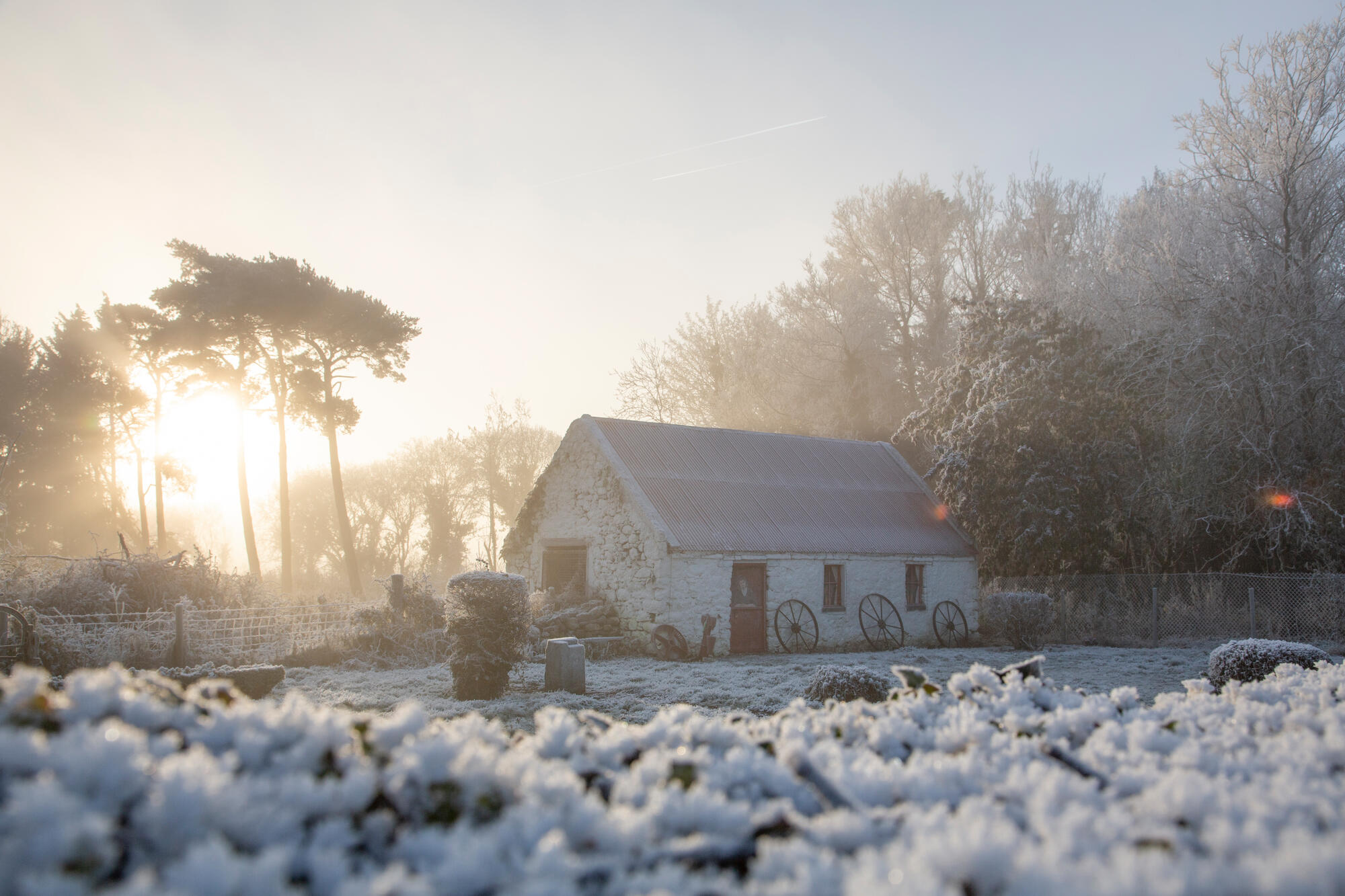 3rd party upload,2023,Tipp coco