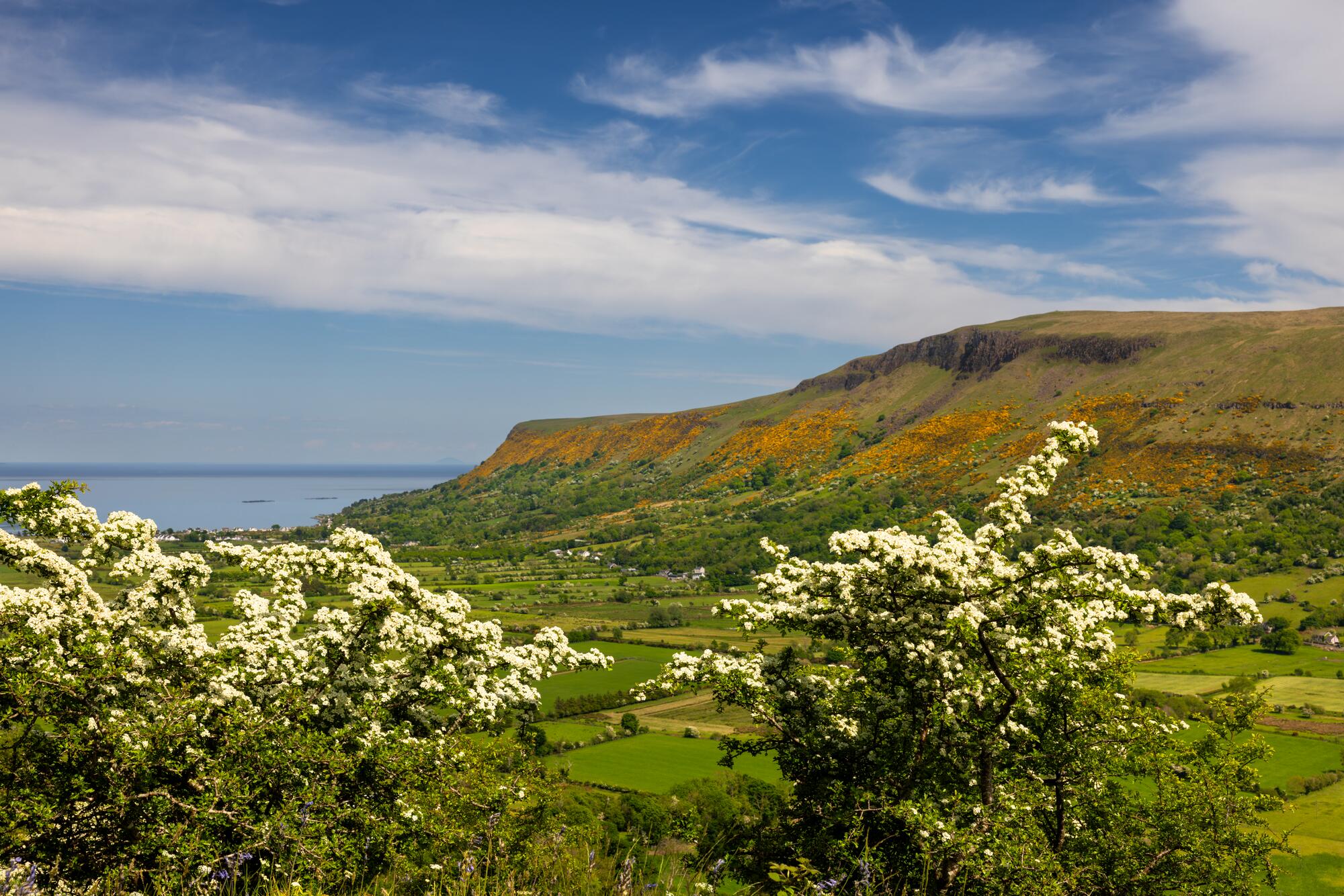 The Glens of Antrim in Spring